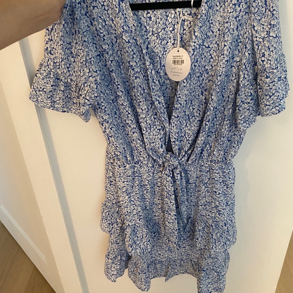 Petal and Pup Blue Floral Dress
